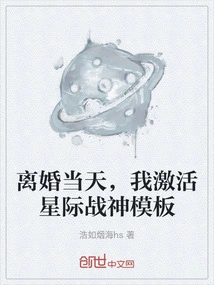 On the Day of My Divorce, I Activated the Star Wars Template