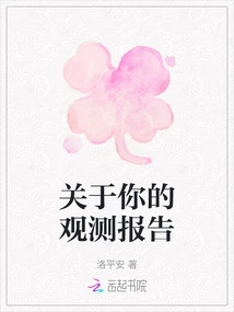 About Your Observation Report