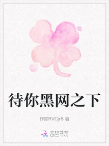 Waiting for You under the Dark Net