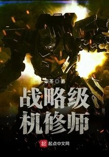 Strategic Level Mechanic