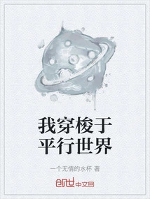 I Travel Through Parallel Worlds