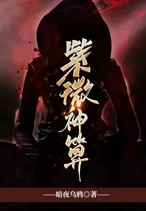 Ziwei Divine Calculation