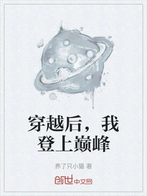 After Traveling Through Time, I Reached the Top