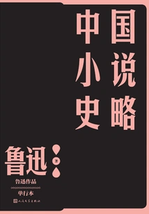 A Brief History of Chinese Novels