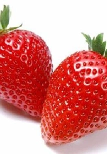 Love in the Starry Sky