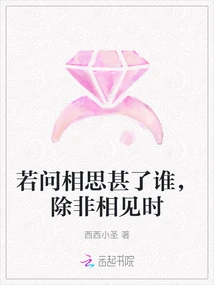 If You Ask Me Who I Miss so Much, Except When I Meet You