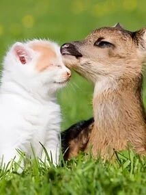 70 Space Sends Rough Guys to You at the Beginning