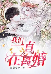 We've Been Getting Divorced