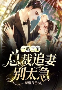 One Child and Three Treasures: Don't Be Too Hasty When a Ceo Pursues His Wife