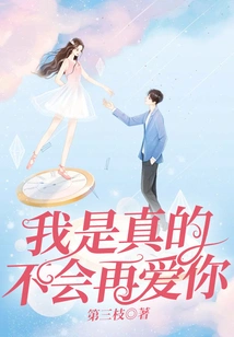 I Really Will Never Love You Again