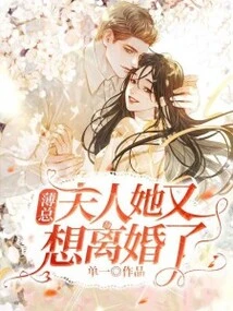 Mr. Bo, Madam, She Wants a Divorce Again