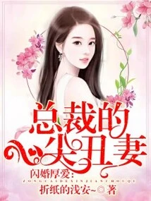 Flash Marriage and Love: the President's Ugly Wife