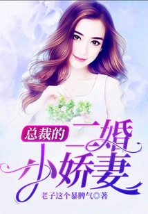 The Ceo's Second Married Wife