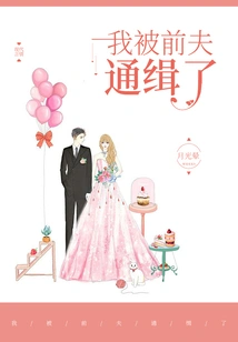 I'm Wanted by My Ex-husband