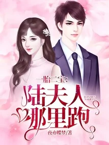 One Child, Two Babies: Where Did Mrs. Lu Go?