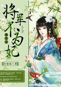 The Reborn General is Not a Concubine