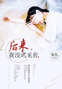 Later, I Didn't Meet You