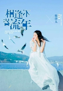 Meeting is Not as Good as Time Flies