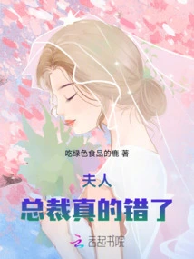 Madam: the President is Really Wrong