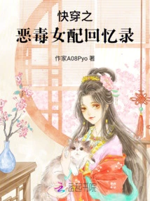 Memoirs of a Quick-wearing Female Partner