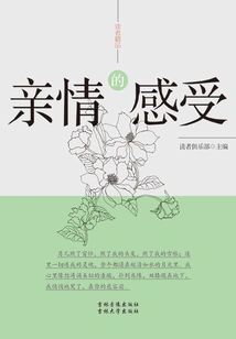 Feelings of Family Love (readers' Boutique)