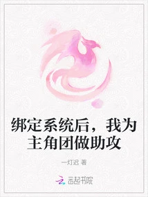 After Binding the System, I Assisted the Protagonist Team