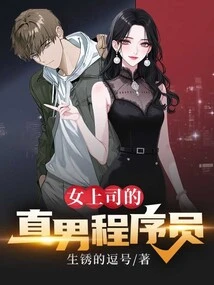 Straight Male Programmer with Female Boss