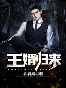 Prince-in-law Returns