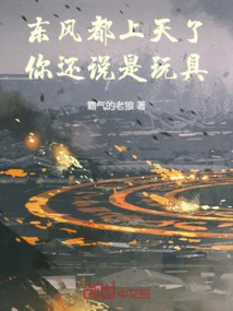 The East Wind is Blowing up into the Sky, but You Still Call it a Toy!