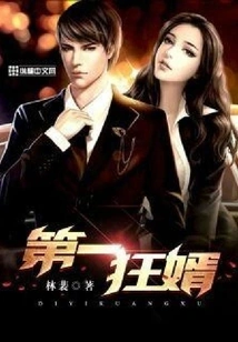 The First Crazy Son-in-law