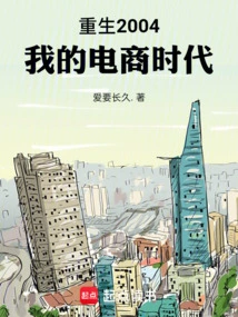 Rebirth 2004: My E-commerce Era