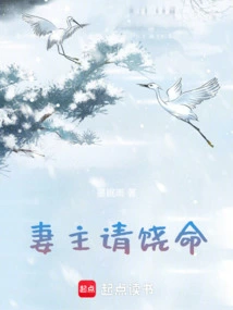 Wife Please Forgive Me