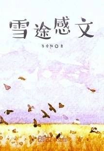 Reflections on the Snow Journey