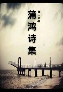 Pu Hong's Poetry Collection