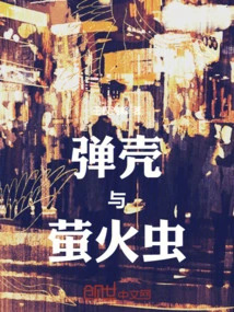 Cartridges and Fireflies