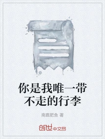 You Are the Only Luggage I Can't Take Away