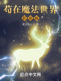 Gou Experience in the Wizarding World