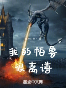 My Pallu is Outrageous