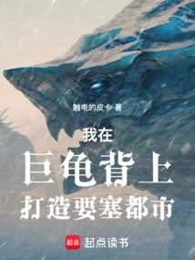 I Built a Fortress City on the Back of a Giant Turtle