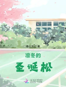 Christmas Pine in Winter