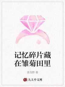 Memory Fragments Are Hidden in the Daisy Field