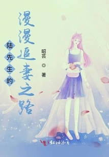 Mr. Lu's Long Journey to Pursue His Wife