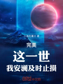 Perfect: in This Life, I, an Lan, Will Stop My Losses in Time