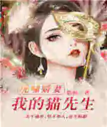 The Roaring Wife: My Mr. Cat