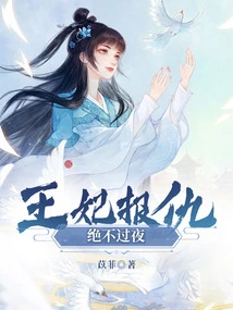 The Princess Will Never Stay Overnight for Revenge