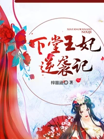 The Princess's Counterattack