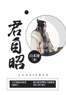 Jun Zizhao
