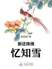 Return the Pearl Again and Remember the Snow Forever