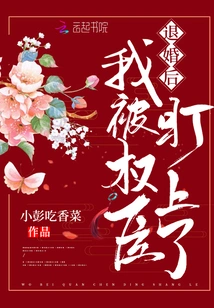 After Breaking Off the Engagement, I Was Targeted by Powerful Officials