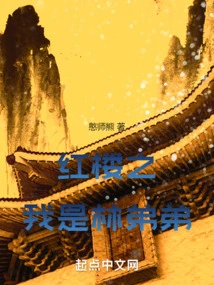 I Am Brother Lin in the Red Mansion